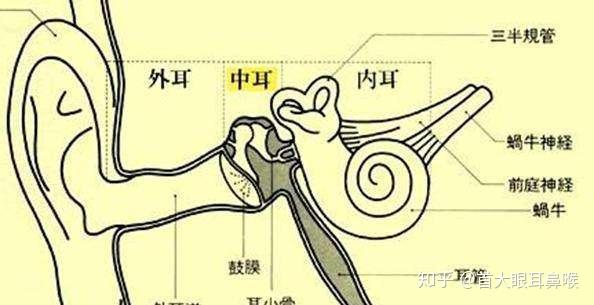 首大戴海江:重视慢性化脓性中耳炎的治疗 - 知乎