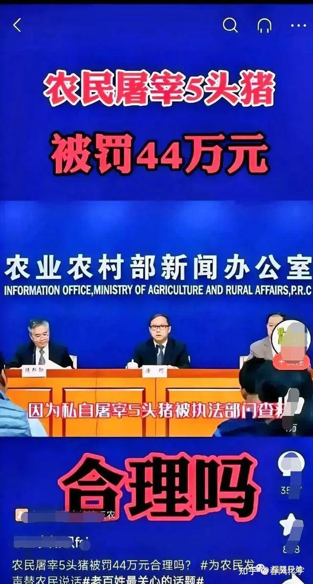 杀5头猪被罚44万!农管存在的意义何在? - 知乎