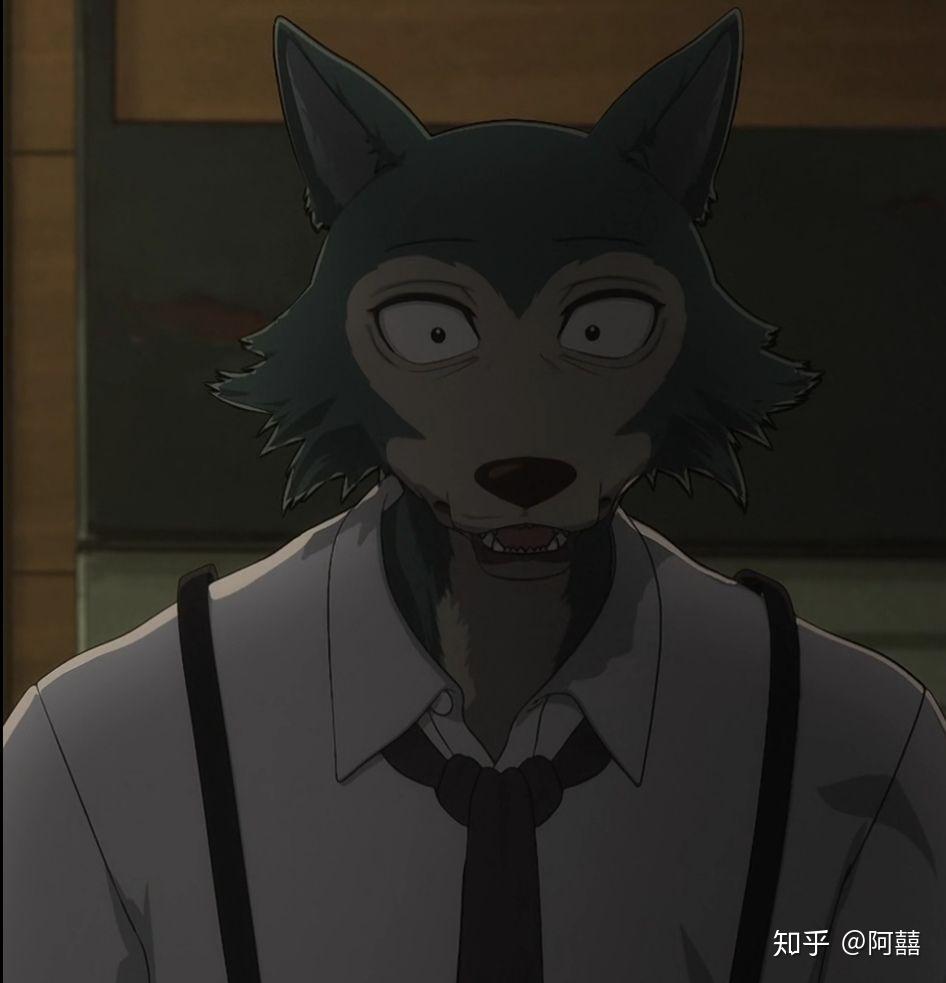 有哪些动物狂想曲/beastars好看的头像? - 知乎