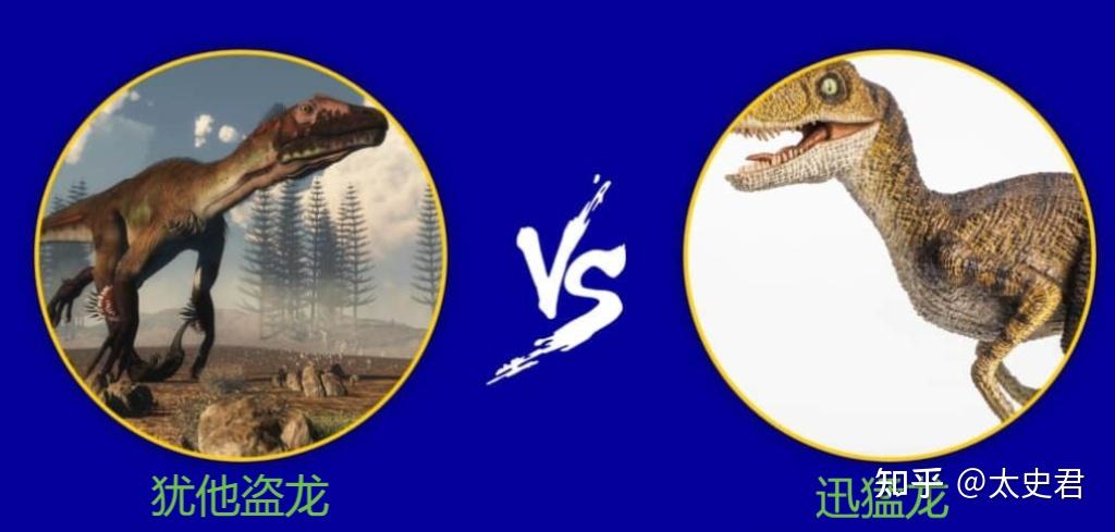 犹他盗龙vs迅猛龙谁会在战斗中获胜