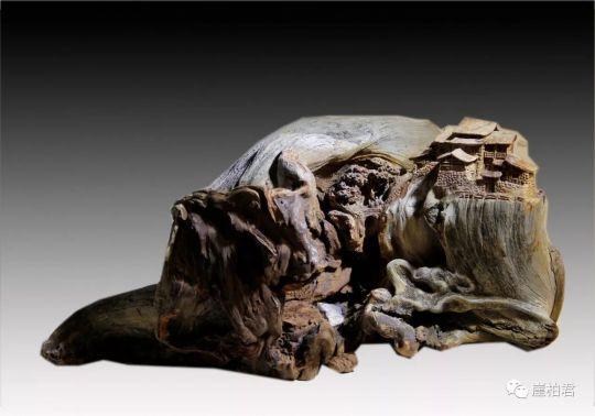 俞柏青:如何在崖柏上"写意"?