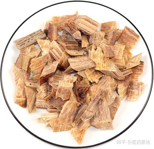 带你识别油松节