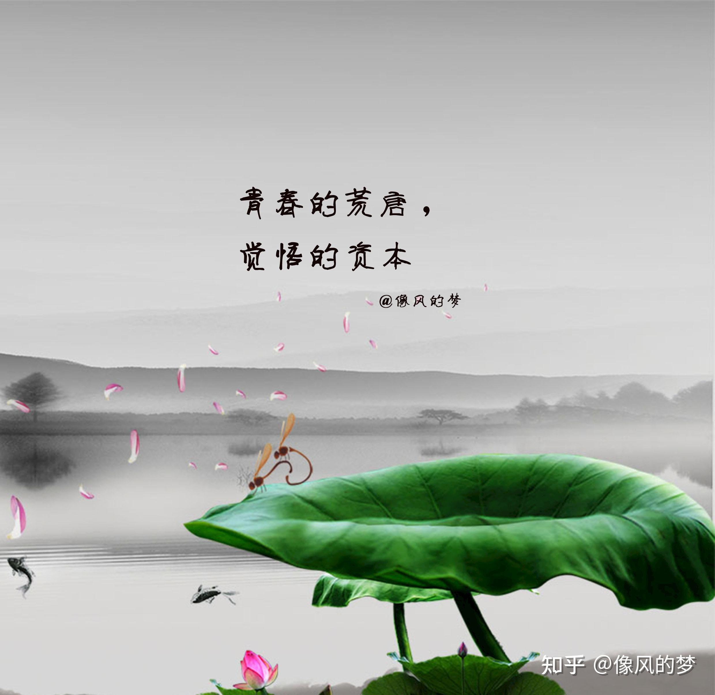 感情没有理由,心情没有理解,对错没有必然,人生没有守则