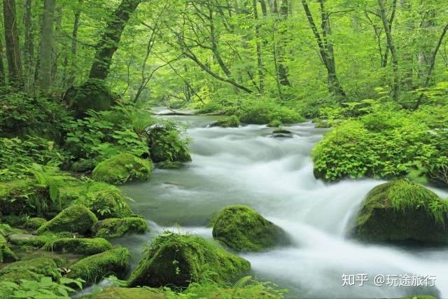 狂欢睡魔祭、世界第一苹果、神秘青池…这才是日本最清新的小众秘境 知乎