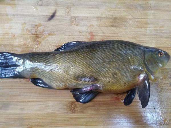 快手一人食 - 知乎