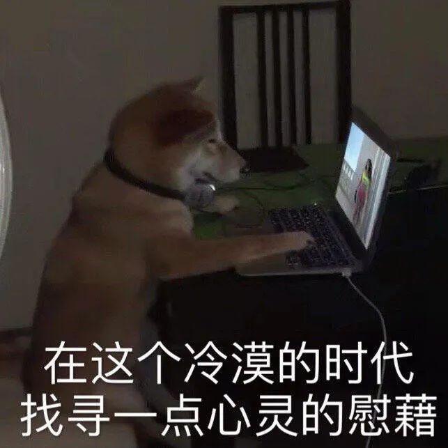 摔了的沙雕文案,摔了的沙雕文案短句