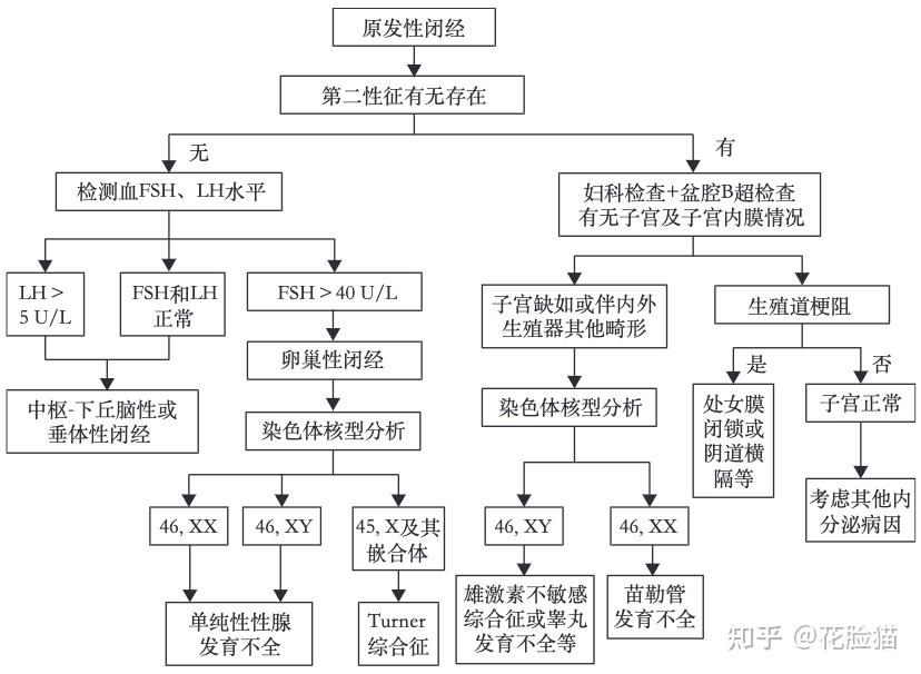 临床指南 | 闭经诊断与治疗指南（2023版） - 知乎