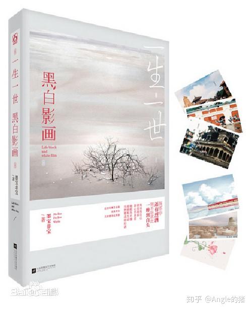 8.《一生一世,黑白影画》 墨宝非宝