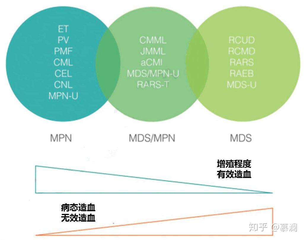 MDS、MPN基因突变，看新版NCCN指南怎么说？ - 知乎