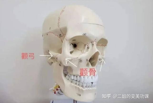 小白必看!|颧骨颧弓手术风险后遗症到底有多少?所有解答都在这里了 - 知乎