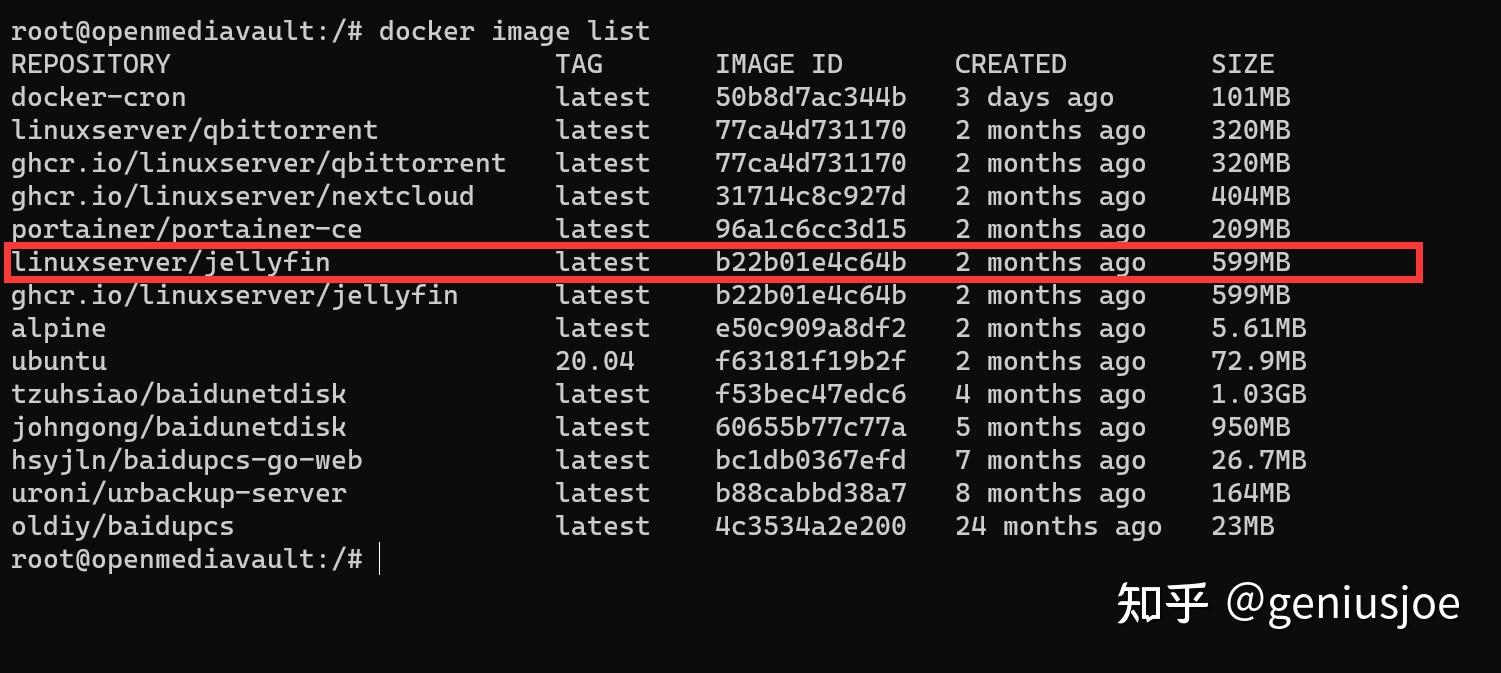 omv 家用 nas 搭建[4]， jellyfin 部署 知乎