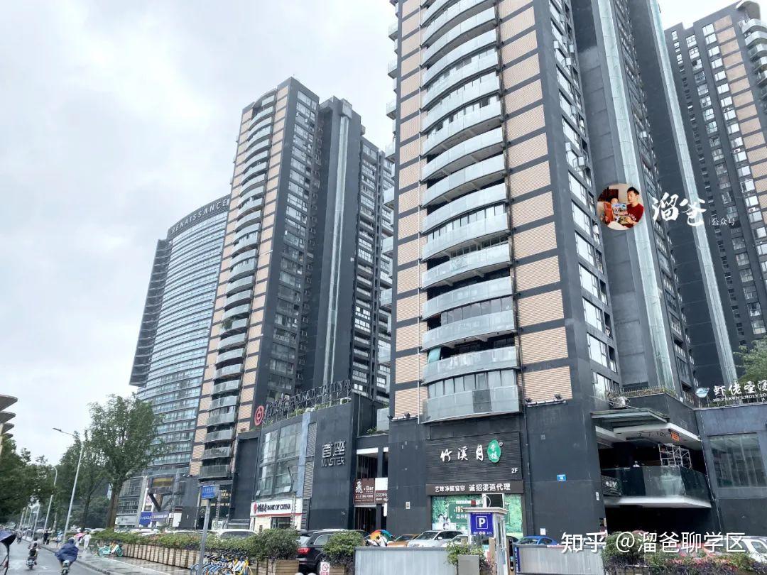 桐梓林——老牌豪宅板块的过去,现在与未来