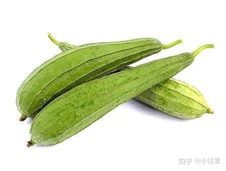 丝瓜小炒有妙招 既家常又新鲜 知乎