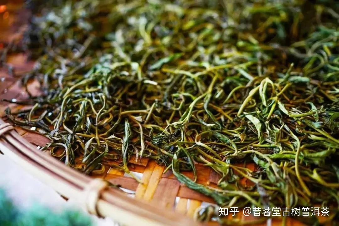 【茶工艺】普洱茶的好滋味都是“揉捻”出来的！ - 知乎