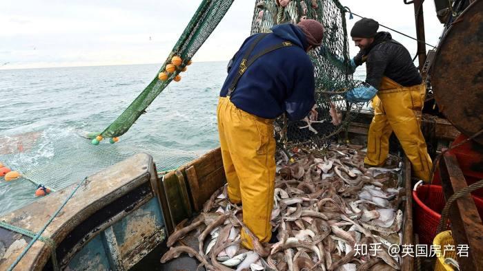 英国渔业让步,脱欧贸易谈判取得重大进展!