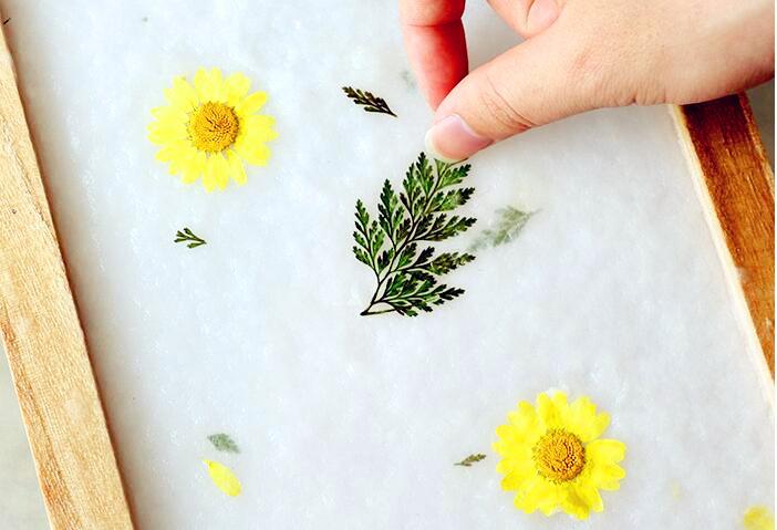 手工diy丨值得一试的小手工花草纸篇