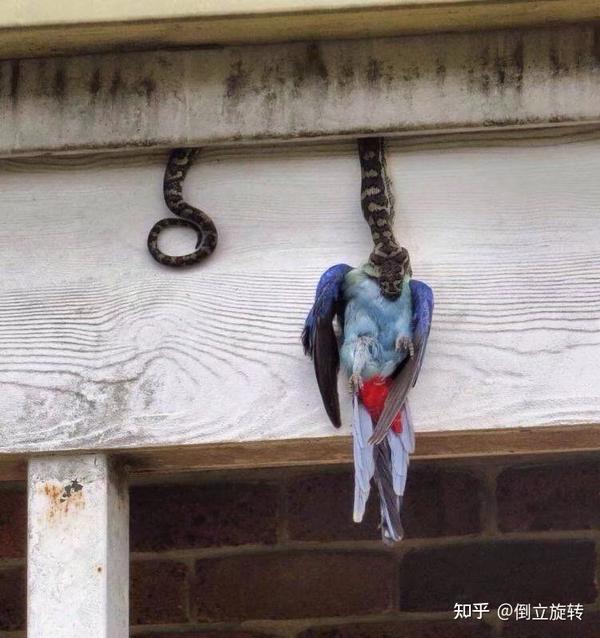 质量管理体系中的PPM是怎么计算的 百度知道