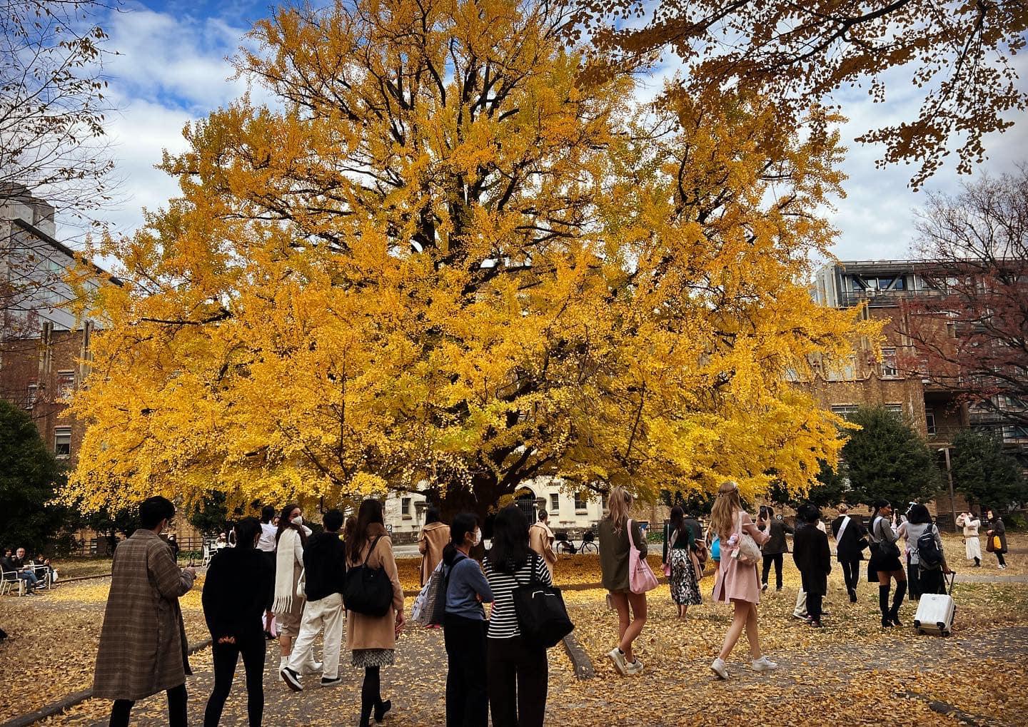 2022 年東京大學環球小姐 - 知乎