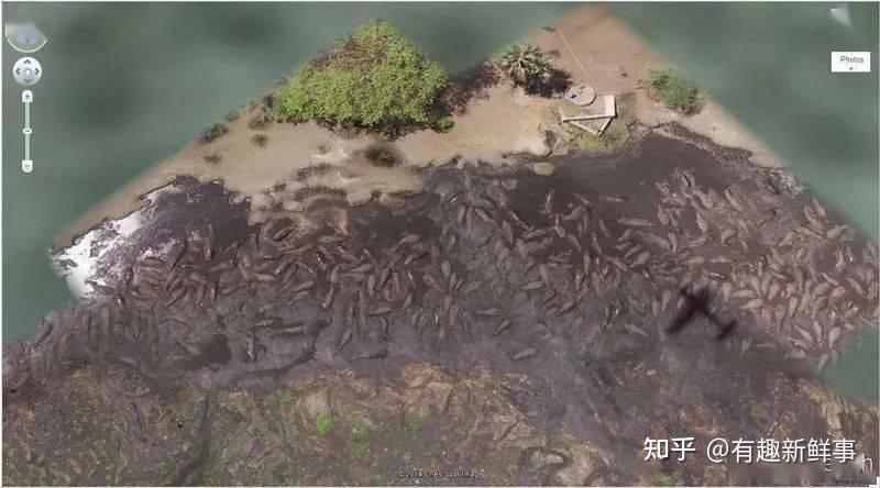 google地图诡异坐标=谷歌地图有趣诡异神奇坐标大全