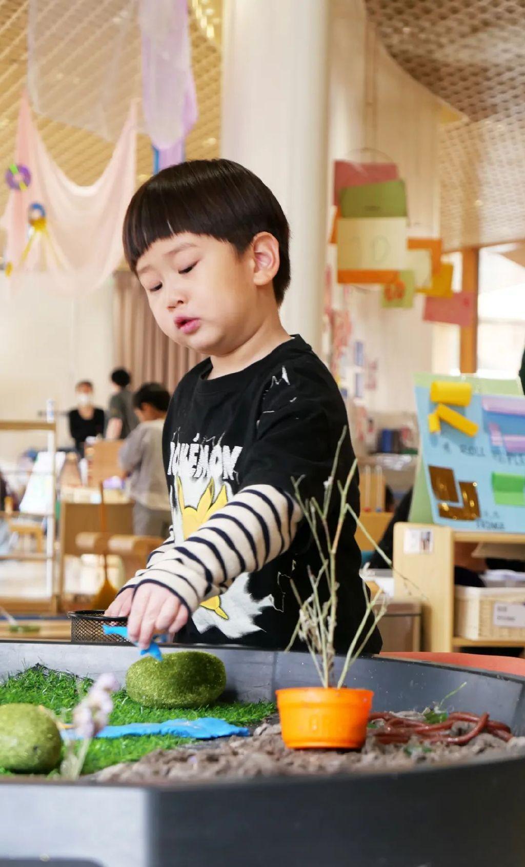 我們可以在樂成四合院幼兒園找到答案 - 知乎