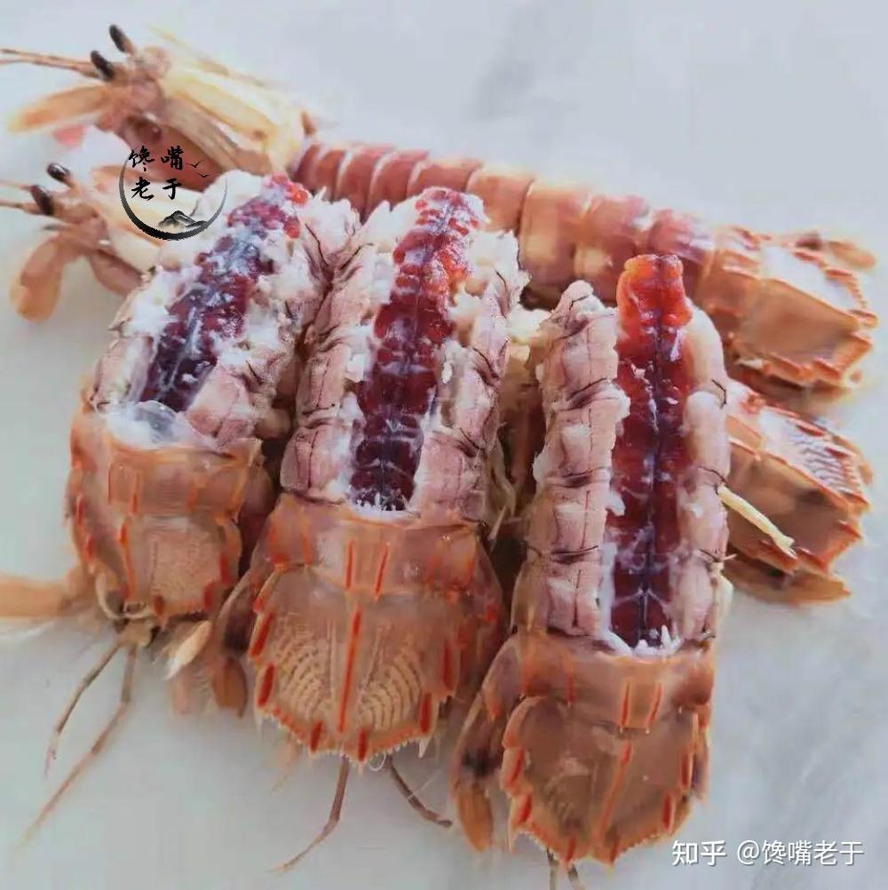 青岛虾虎最肥的季节图片