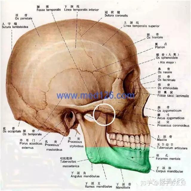 网友称赵丽颖8月中旬复出大脸认不出来颧骨内推答疑史上最全拯救大脸