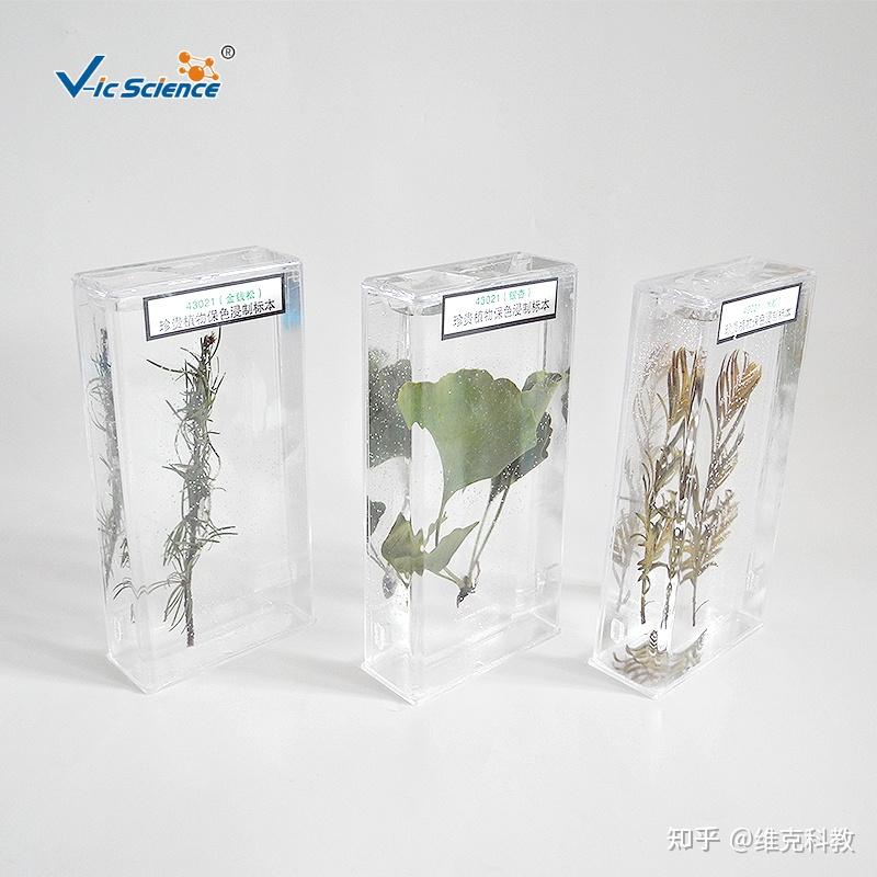 植物标本的采集方法 - 知乎