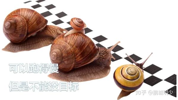 初入职场的小明