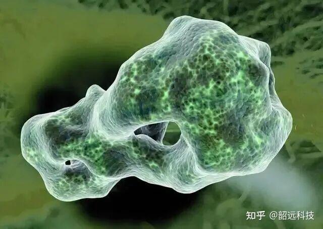 奇妙的化学元素 | 地球上最稀有的“幽灵元素”--砹 - 知乎