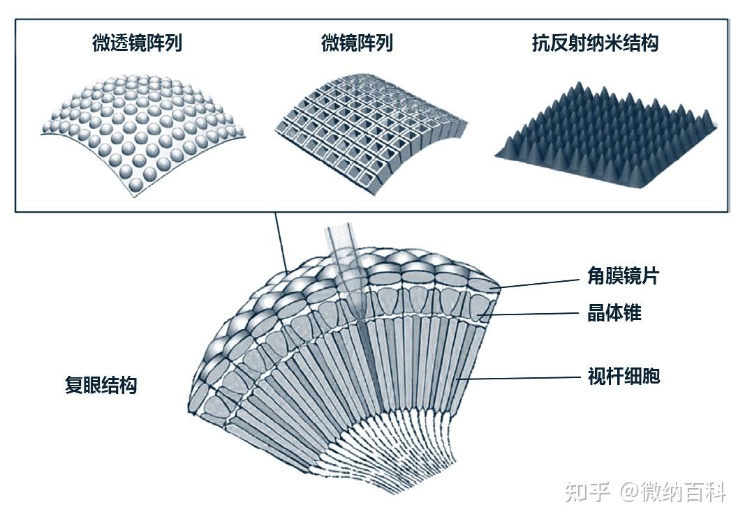 Microlens Array microlens array