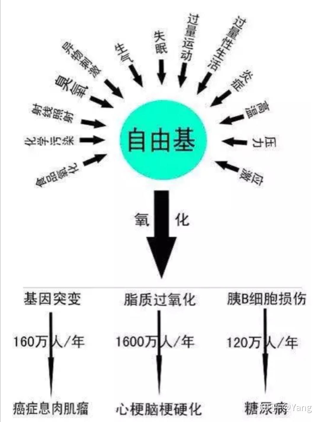 白藜蘆醇——清除自由基的健康衛士 - 知乎