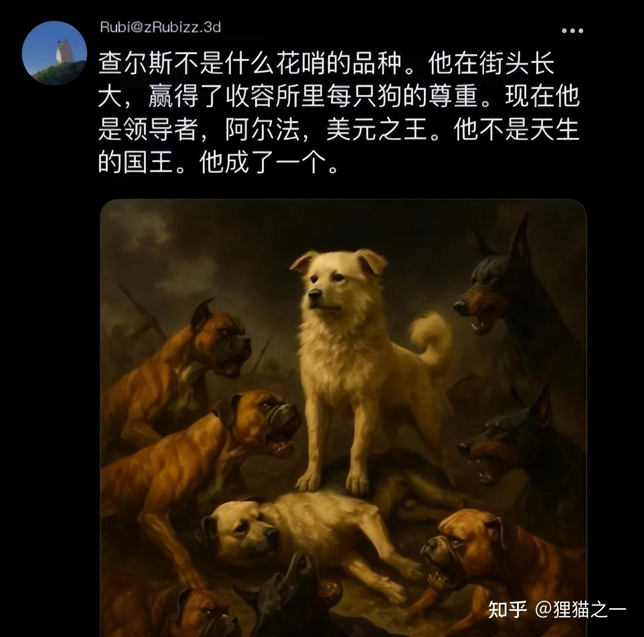 “中国狗王”火遍了全球,身价激增至10万美元,狗主人现身说法 - 知乎