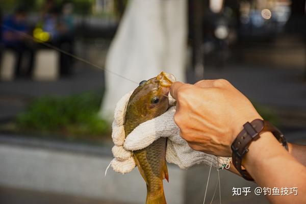 鱼钩 钓鱼必备，作用是刺鱼，详解4种钓法怎样选鱼钩