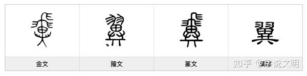 翼——每日一字·羽部字 知乎