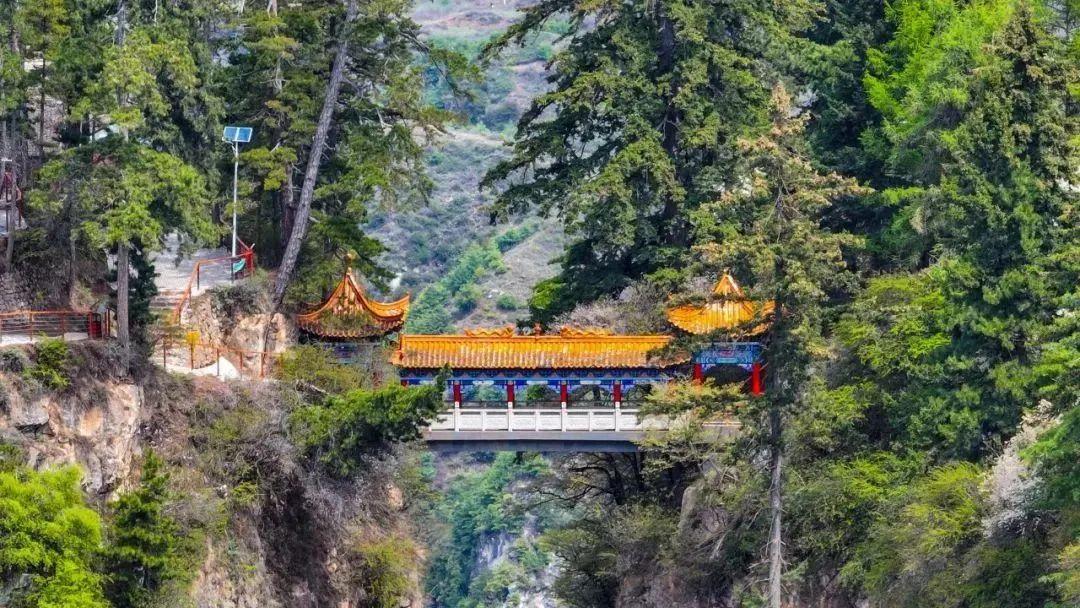 公主请登山遮阳山贵清山冬季限定玩法上新一路向上追暖阳