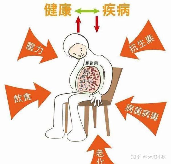 肠胃功能紊乱应该如何调