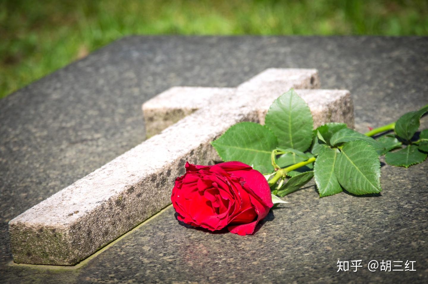 “我们终将死去”——欠孩子的一堂死亡教育课 - 知乎