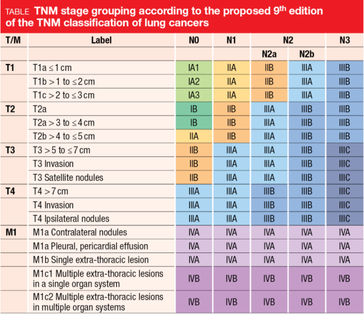 肺癌tnm分期第9版图解图片