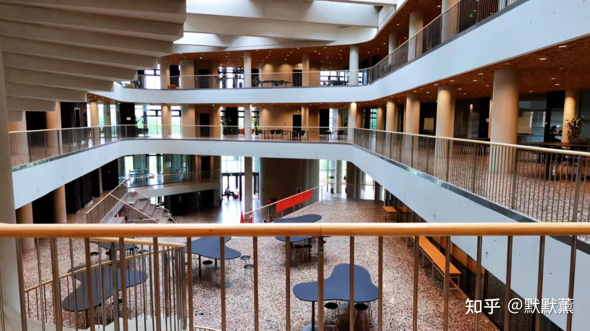 在中丹学院读双硕士是一种怎样的体验