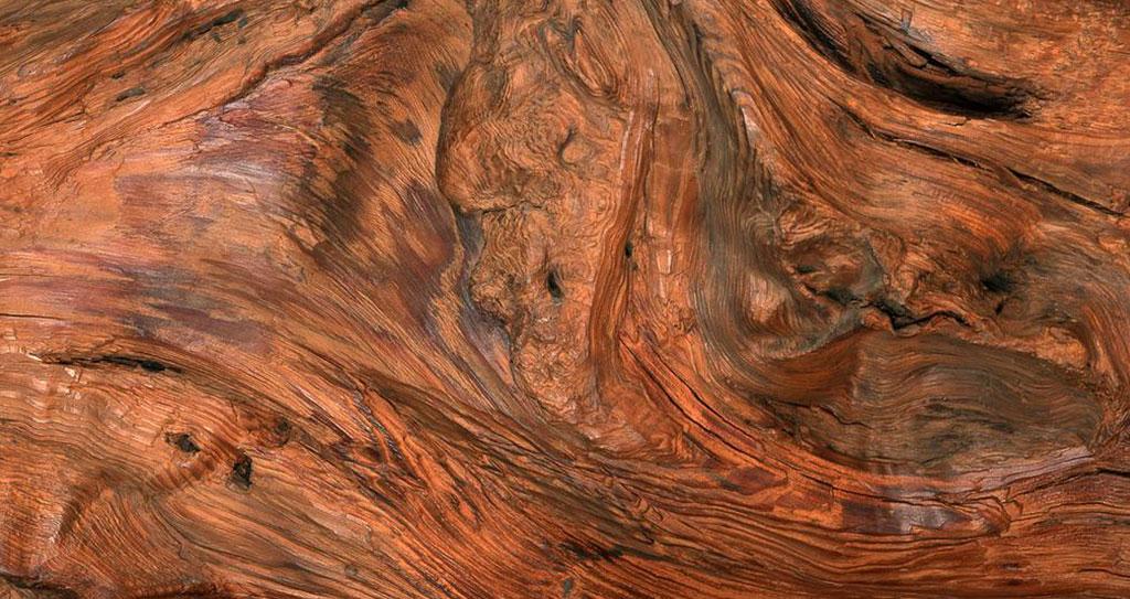 节子是包含在树干或主枝木材中产枝条部分.