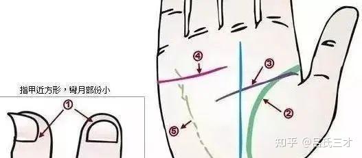 24种手诊图，揭示你的身心健康 - 知乎