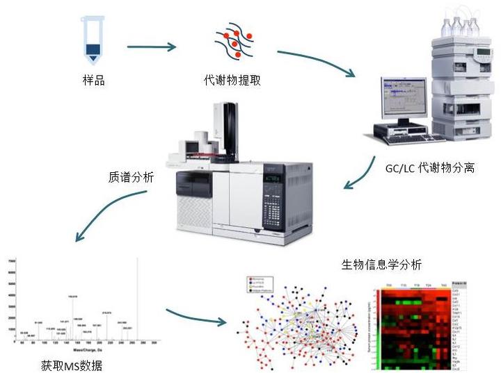 代谢组学概念的由来 从metabonomics到metabolomics - 知乎