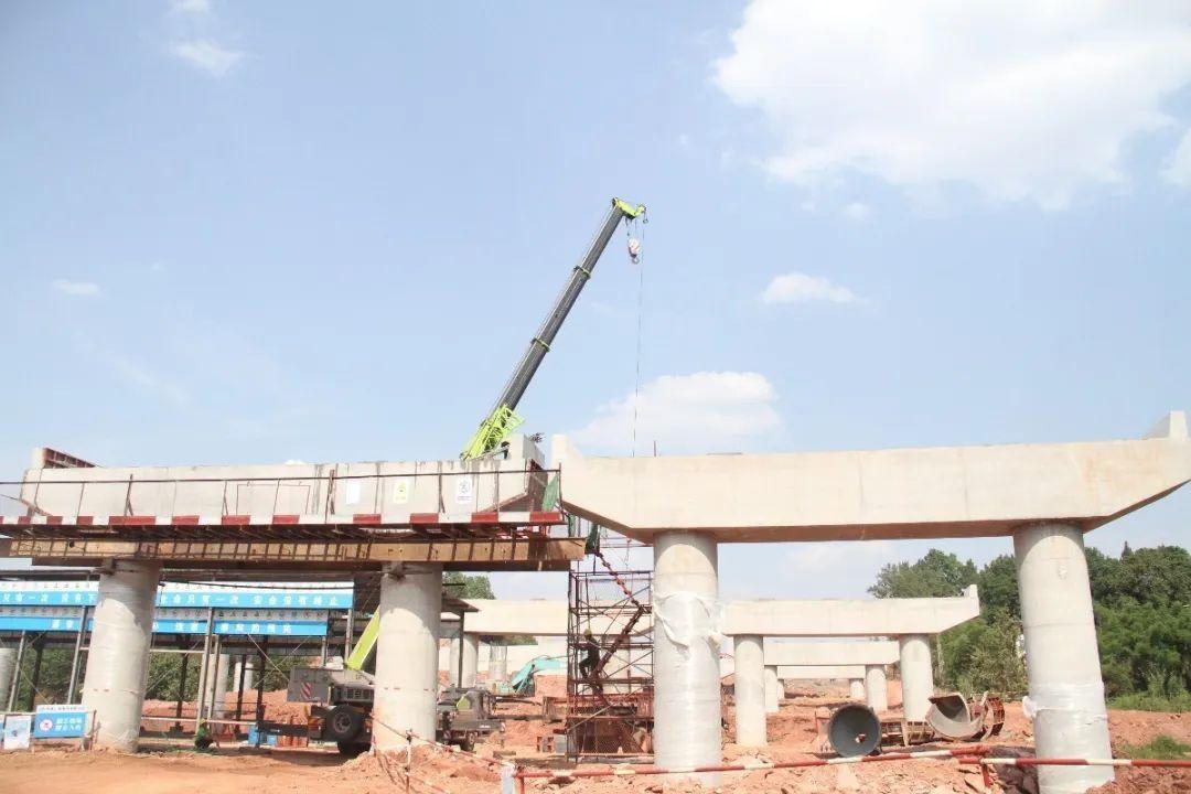 成金简金简仁快速路最新进展来了