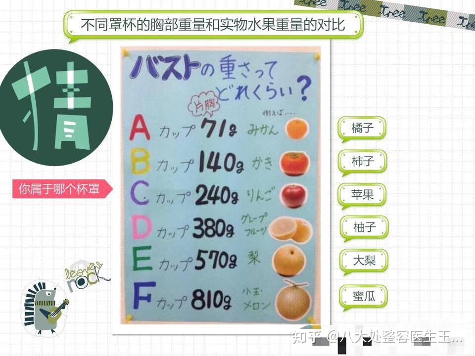 苹果,柚子,大梨,蜜瓜字母a,b,c,d,e,f不同罩杯的胸部重量和实物水果