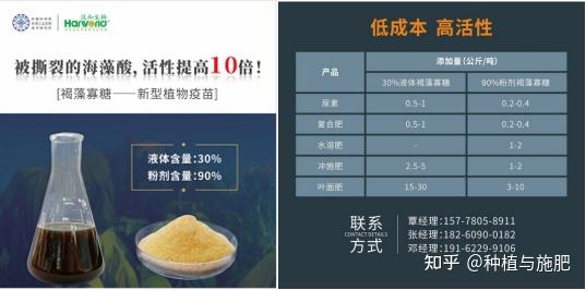 褐藻胶裂解酶酶解海藻多糖(海藻酸及海藻酸盐)更低成本的制取褐藻寡糖