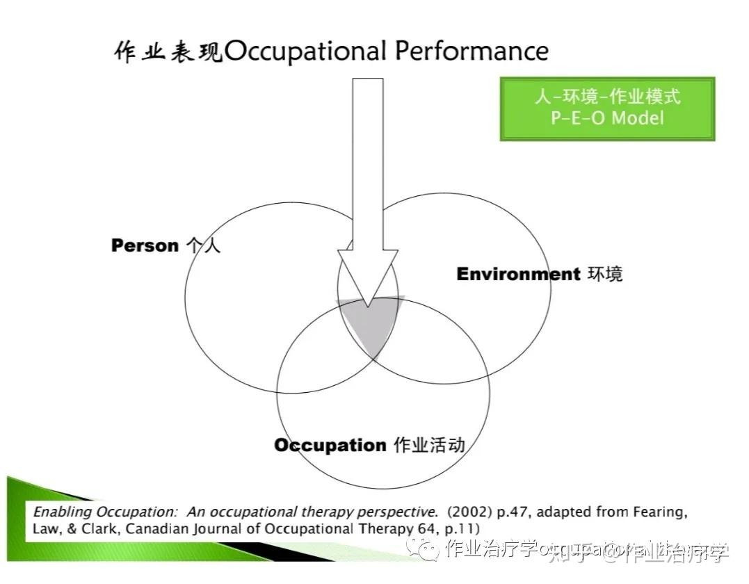 人类-环境-作业活动模式(PEO) - 知乎
