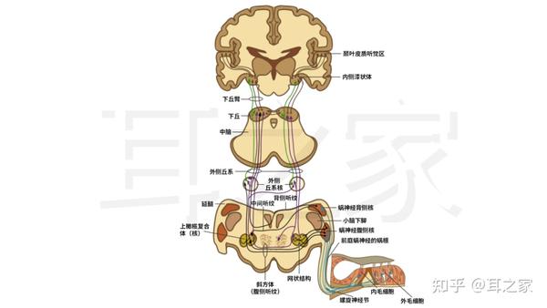 您听不清楚有几年了？不！就今年... - 知乎