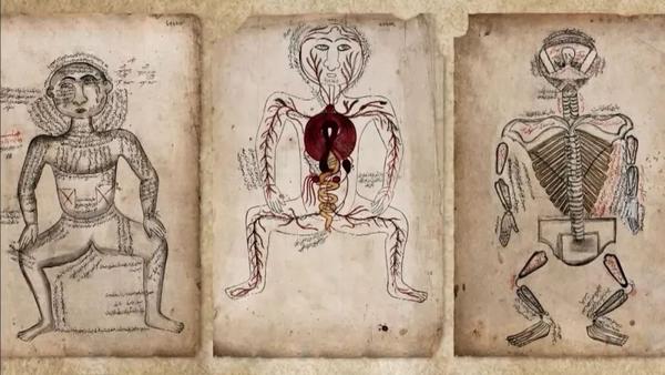 盖伦被誉为古罗马最伟大的医生但是他只能解剖动物来做研究.