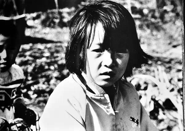 中平卓馬 一〇〇〇 世界上没有表情悲伤的猫丨中平卓马- 知乎