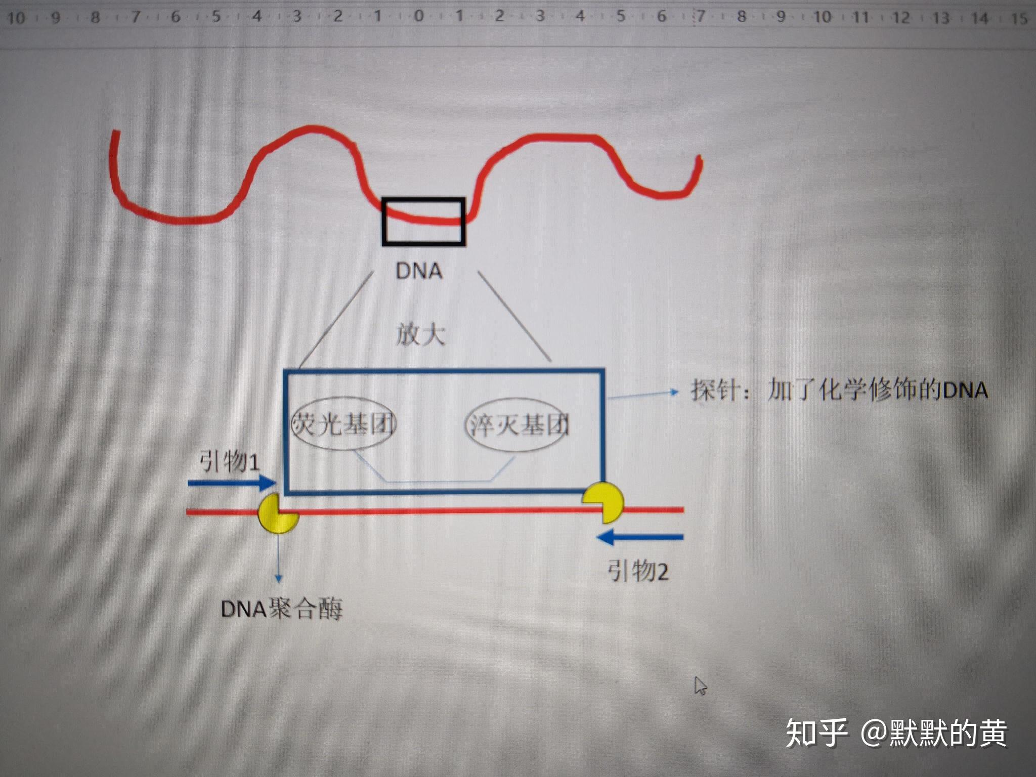 rtpcr檢測技術的原理是什麼